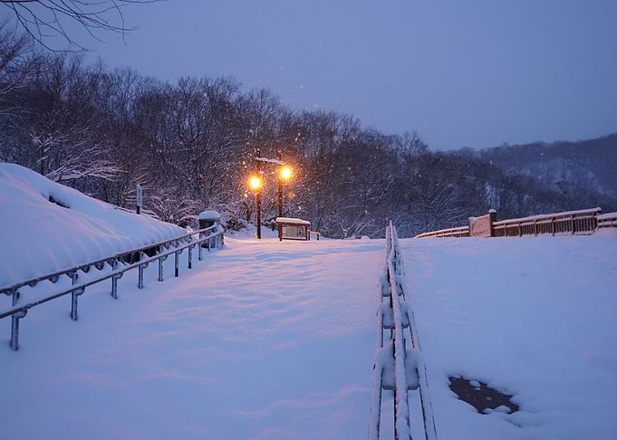 Snowy Winter Landscape with Streetlights