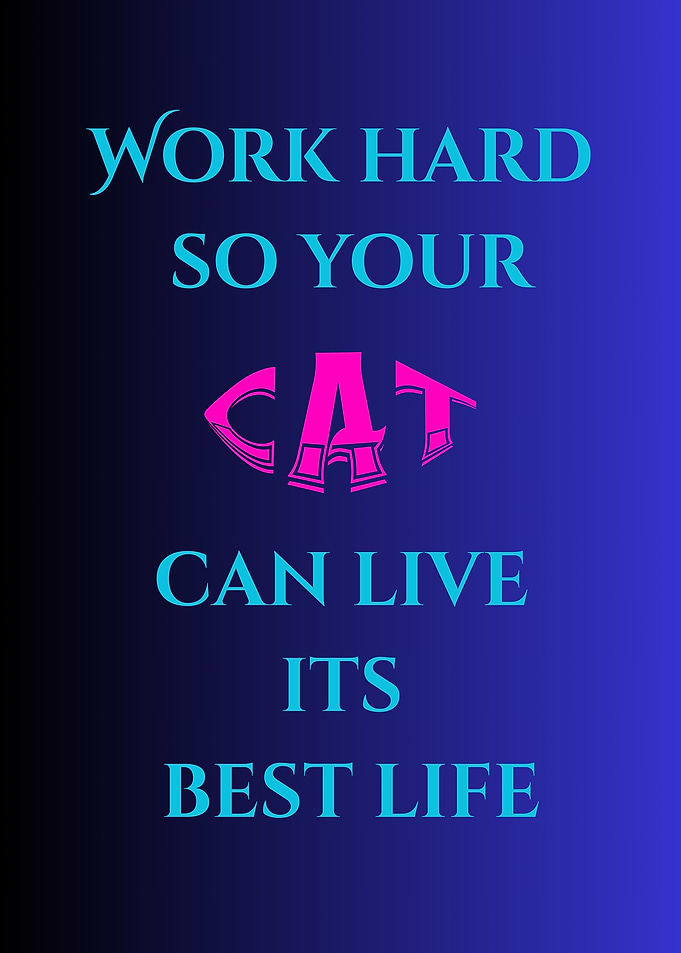Work Hard for Cat's Best Life