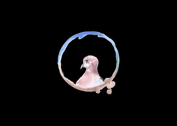 Dove