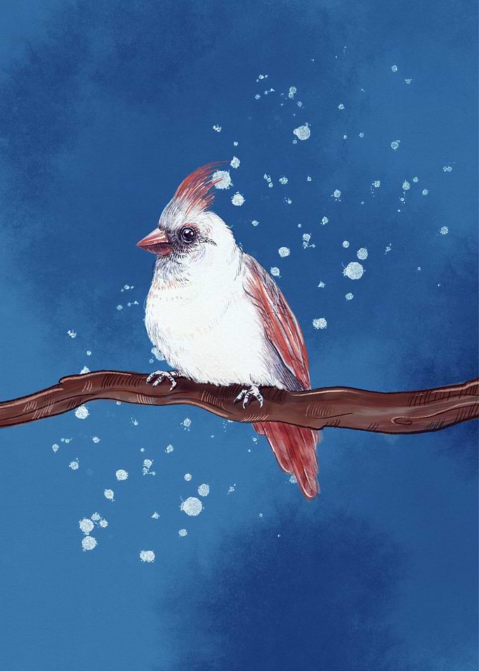 Cardinal on Branch with Snowflakes