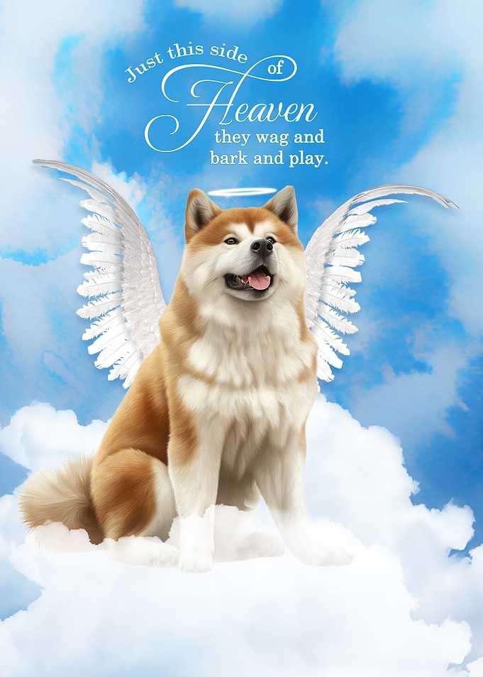 Akita Dog Angel in Heaven