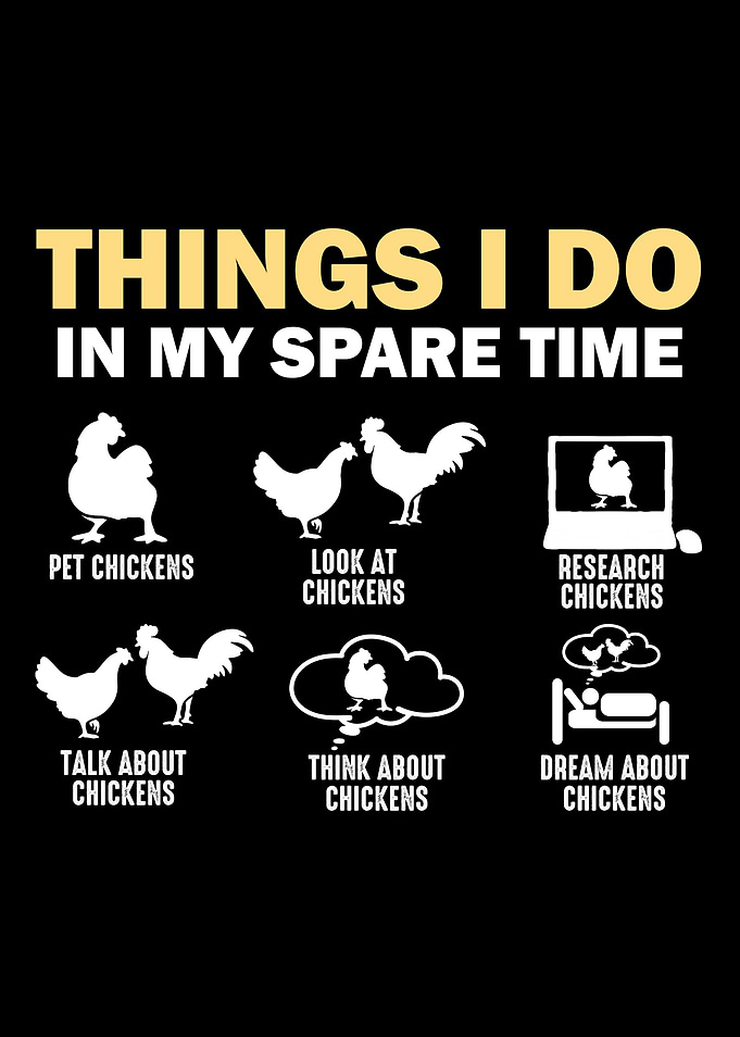 Things I Do In My Spare Time Chickens