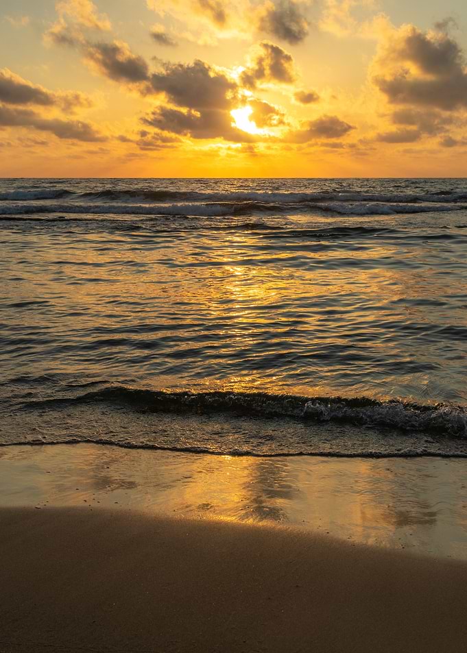 Golden Sunset Over the Ocean