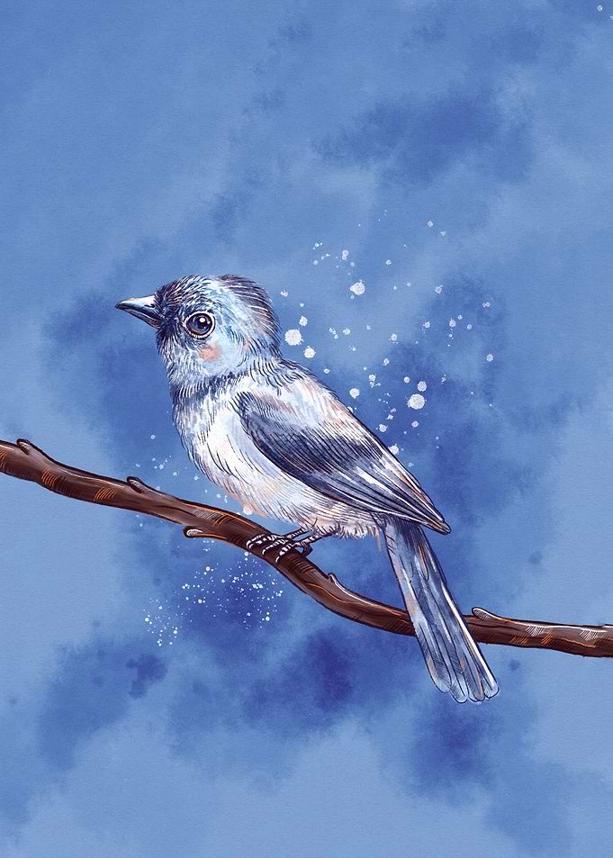 Blue Bird on Branch Illustration