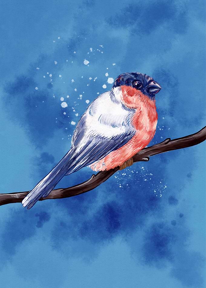 Bullfinch on Branch Digital Art