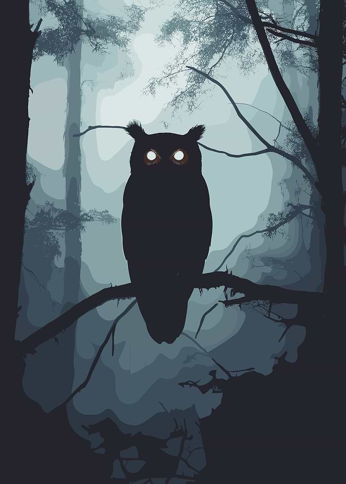 Owl in a Misty Forest