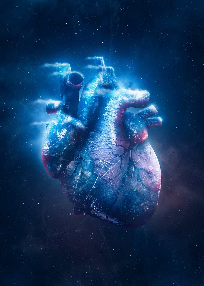 Frozen Heart