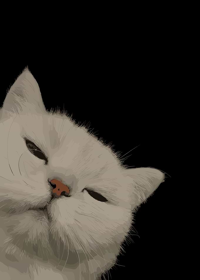 Sleepy White Cat Illustration
