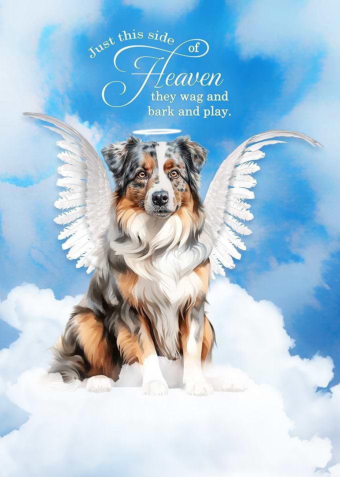 Australian Shepherd Dog Angel in Heaven