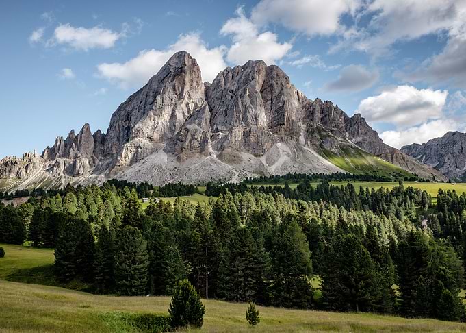 Majestic Mountain Landscape with Forest