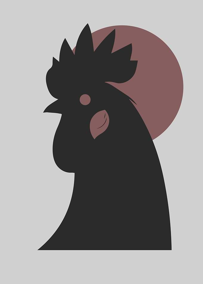 Rooster Silhouette Monochromatic