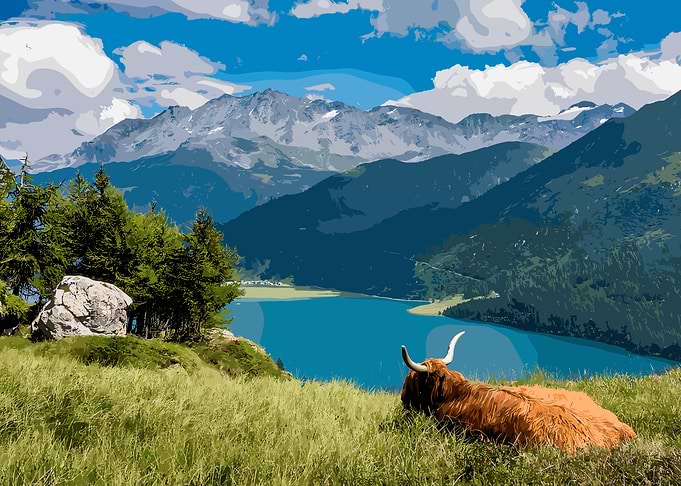 Highland buffalo in Mountain Landscape