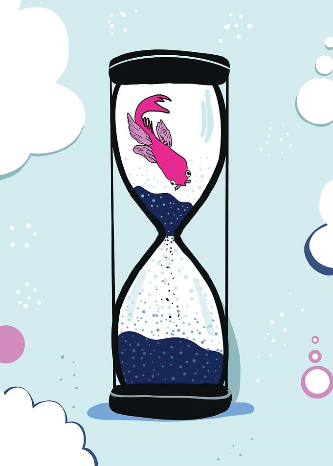 Hourglass with Pink Fish Illustration