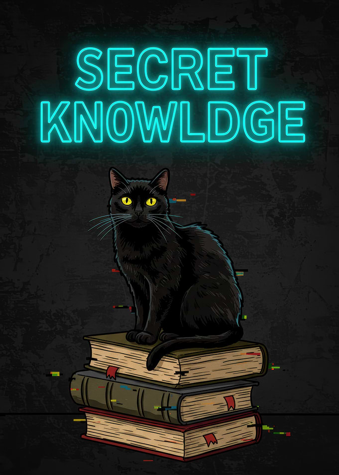 Secret Knowledge: Black Cat on Books