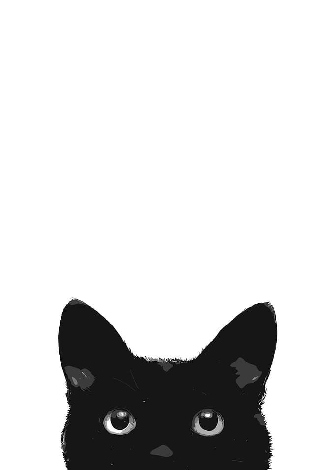 Peeking Black Cat