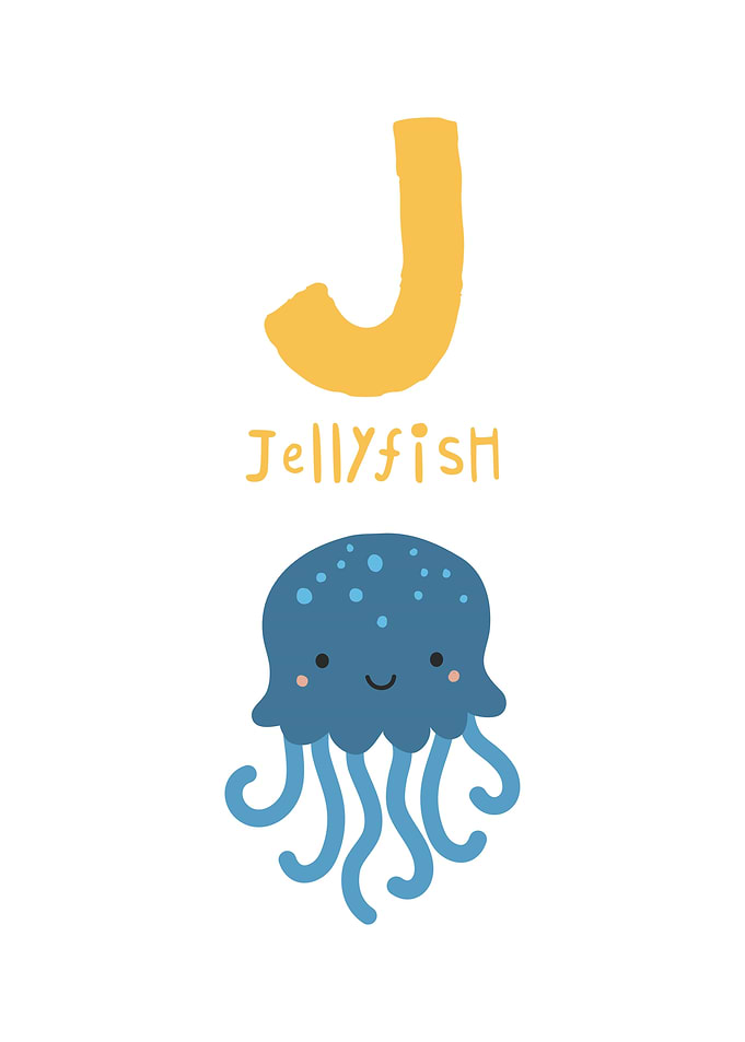 Jellyfish Alphabet Illustration