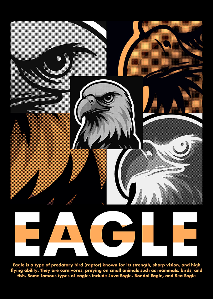 Eagle Illustration Collage