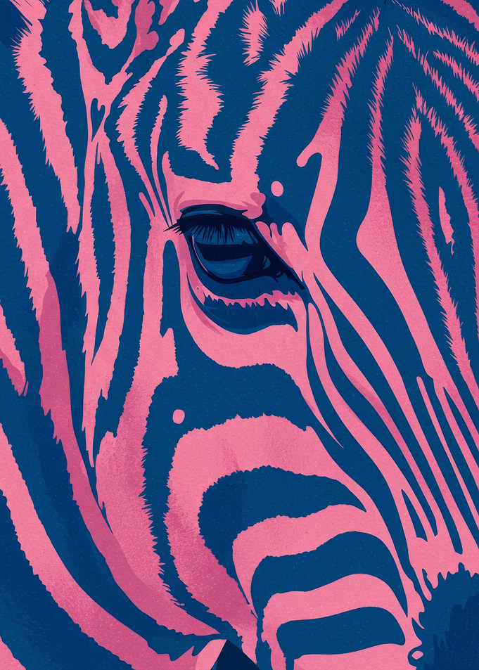 Pink and Blue Zebra Close-Up