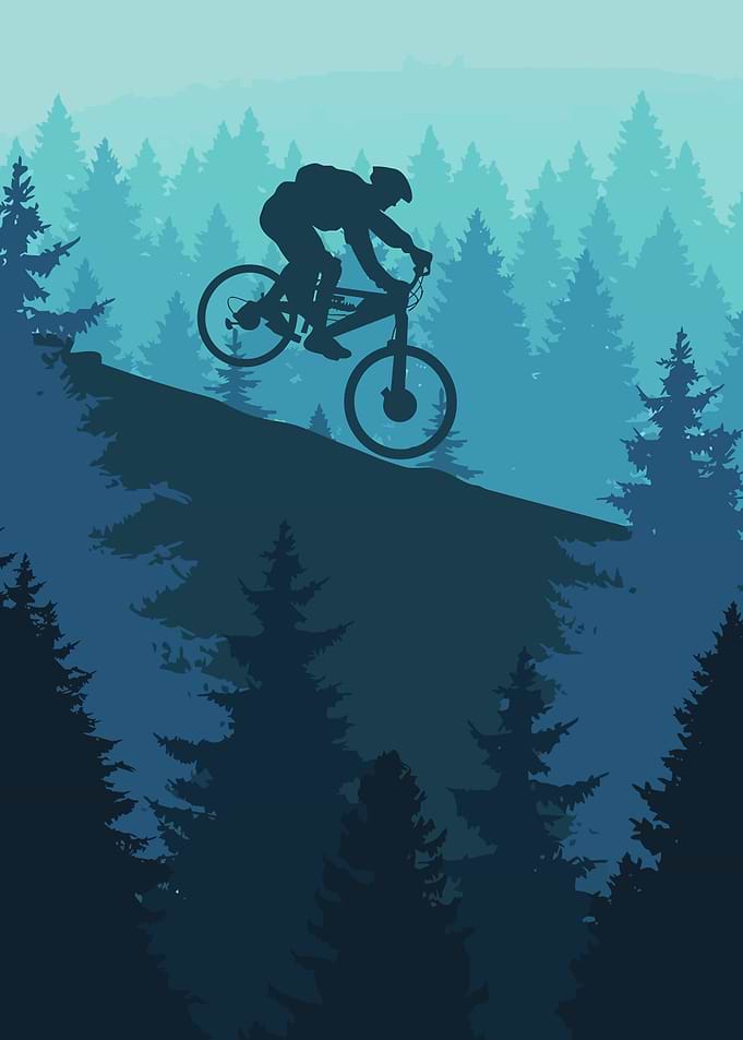 Mountain Biker in Forest Silhouette