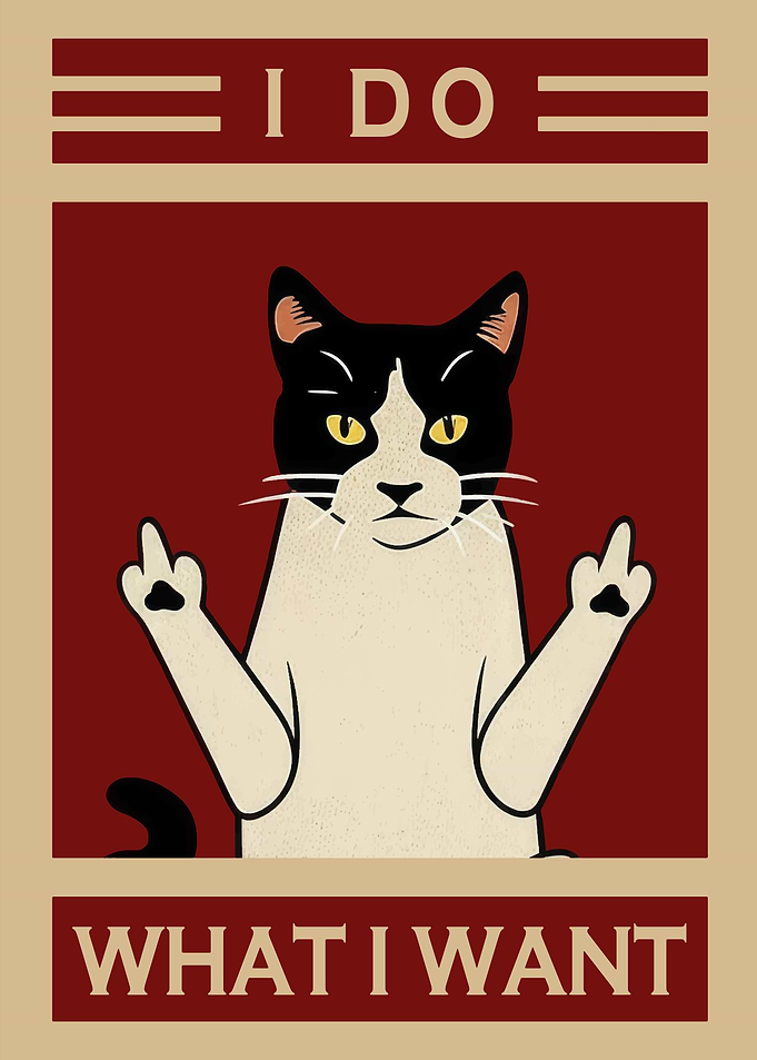I Do What I Want Cat