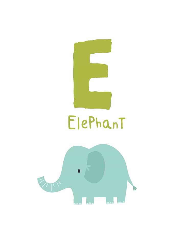 Elephant 'E' Alphabet Illustration