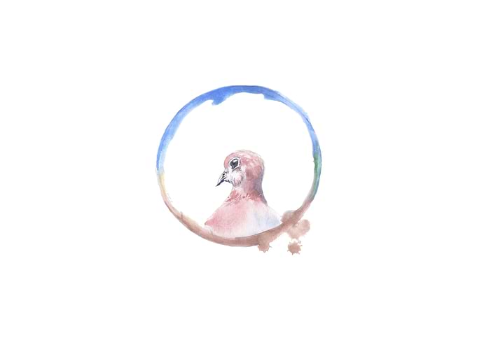 Dove