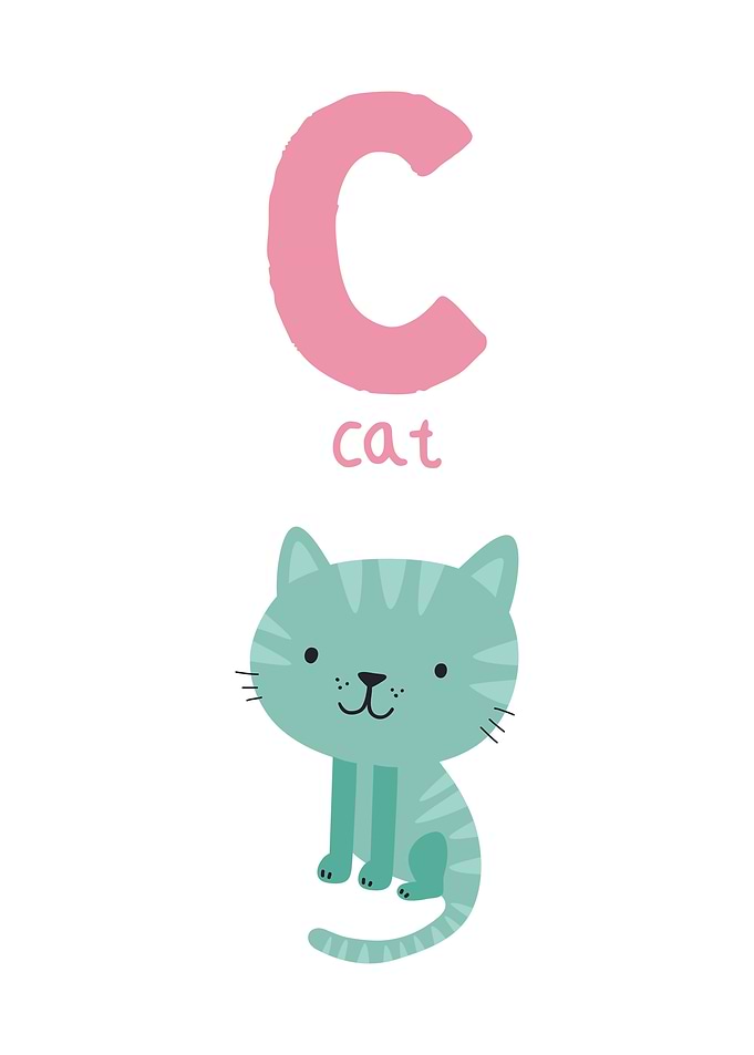 Letter C with Cat Illustration