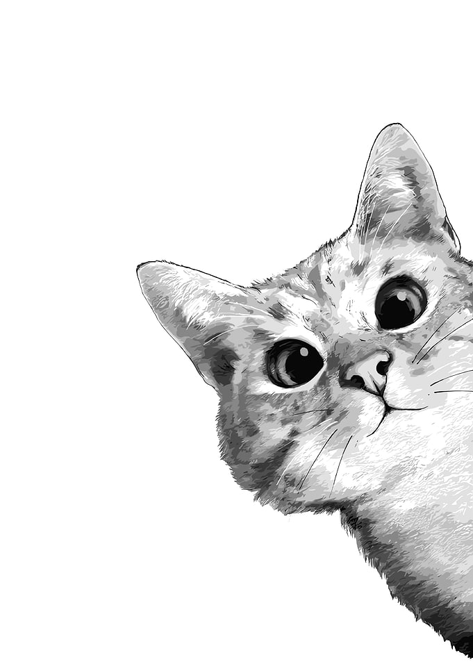 Peeking Cat Illustration