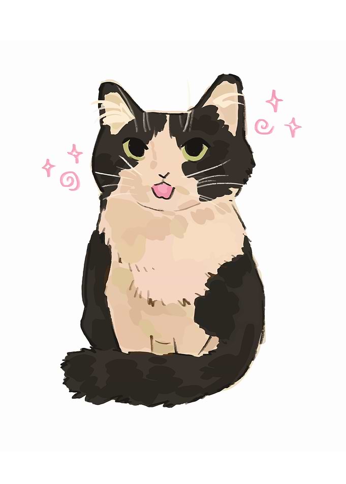 Cute Tuxedo Cat Illustration