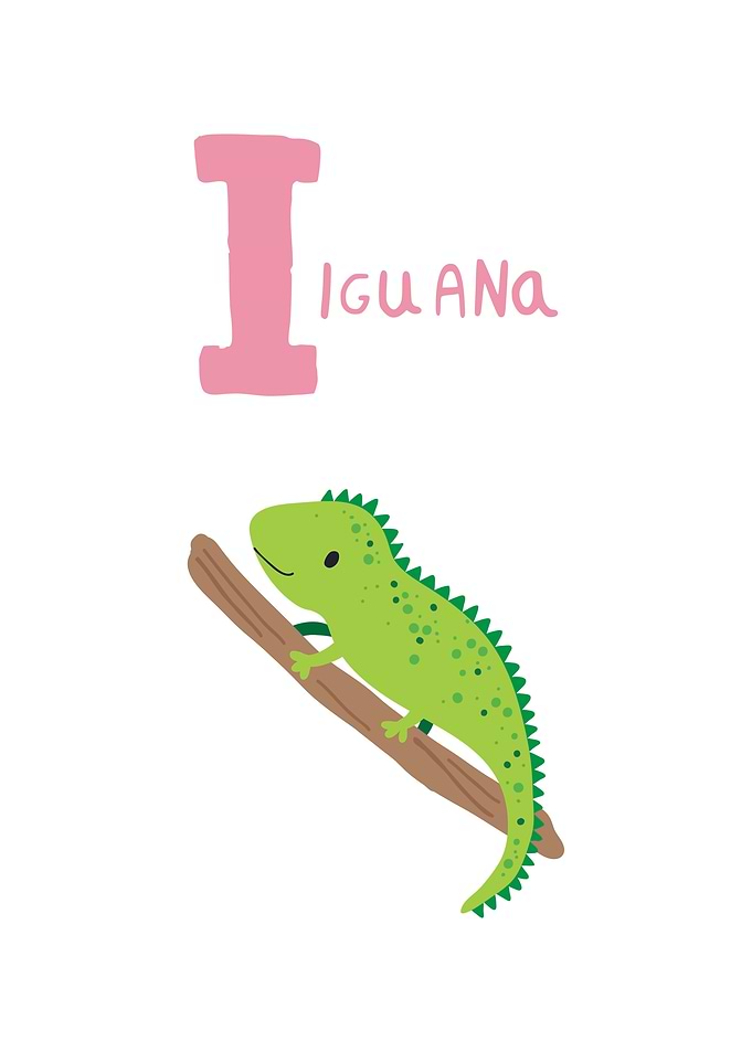 Iguana Illustration with Letter I