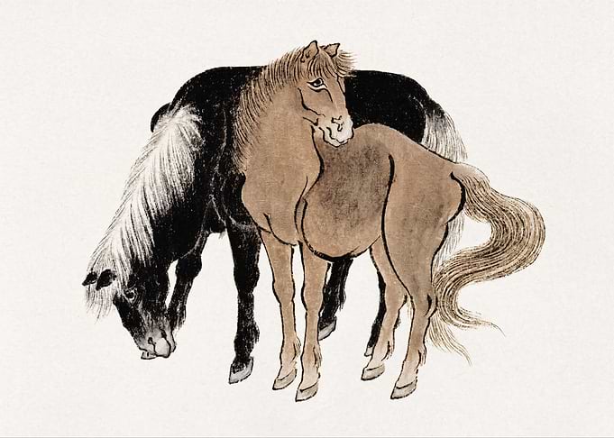 Two Horses in Traditional Asian Style