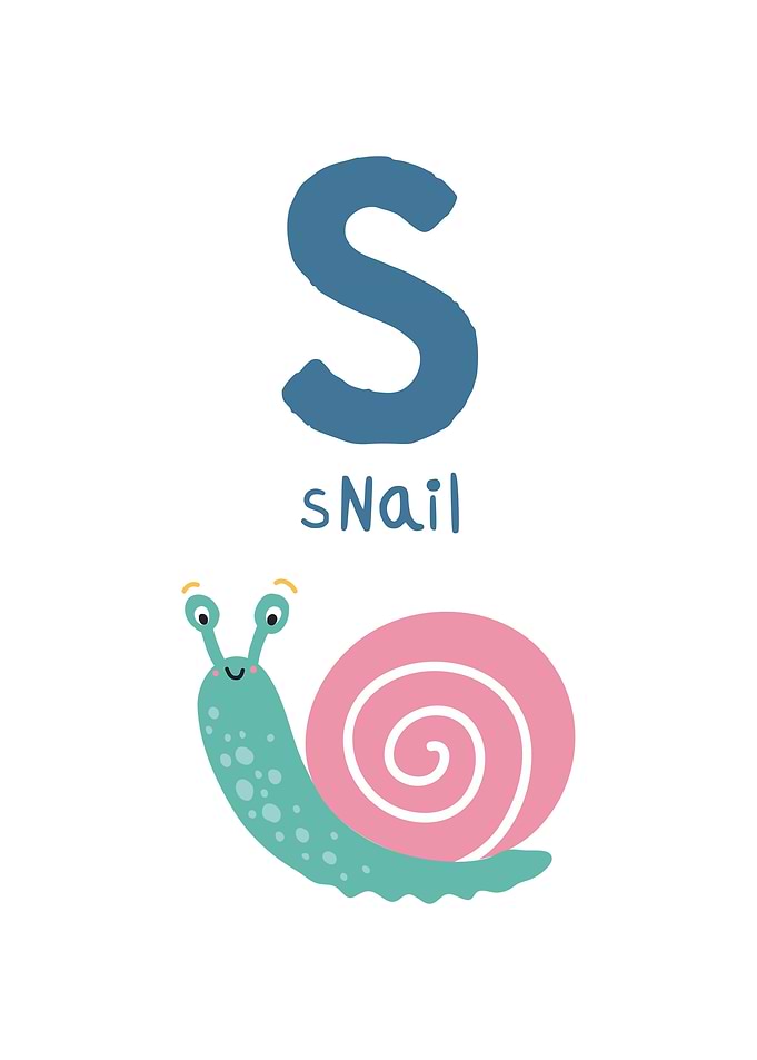 S is for Snail illustration
