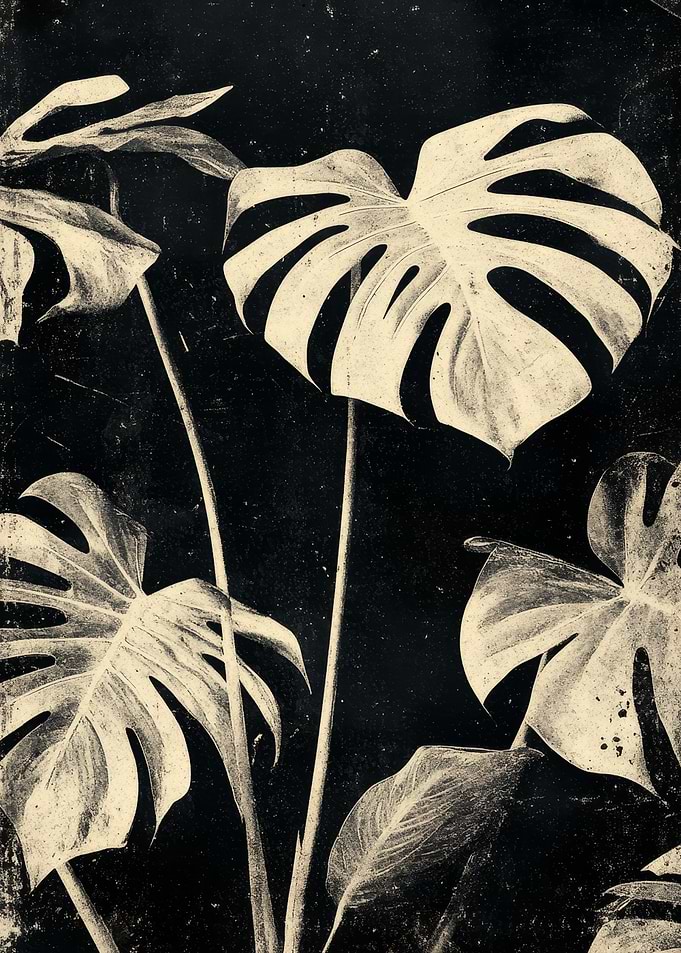 Monstera Plant Black and White Art | Vintage Botanical Wall Art