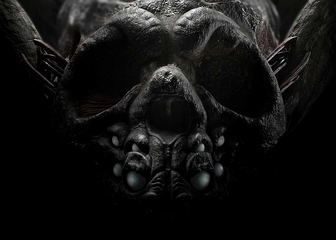Dark Spider Close-Up