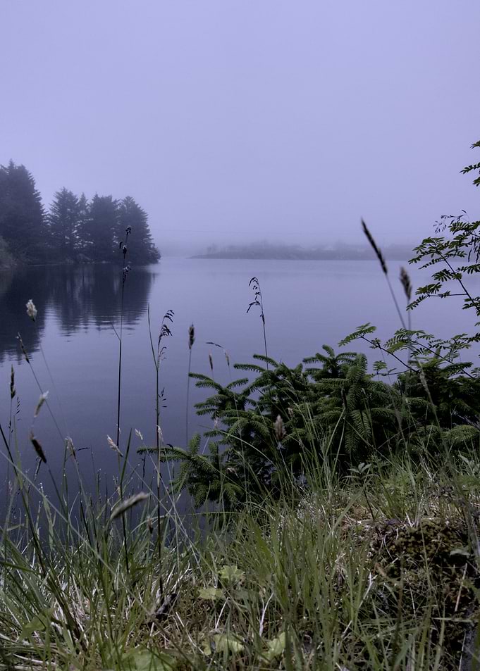 Misty Lake Landscape