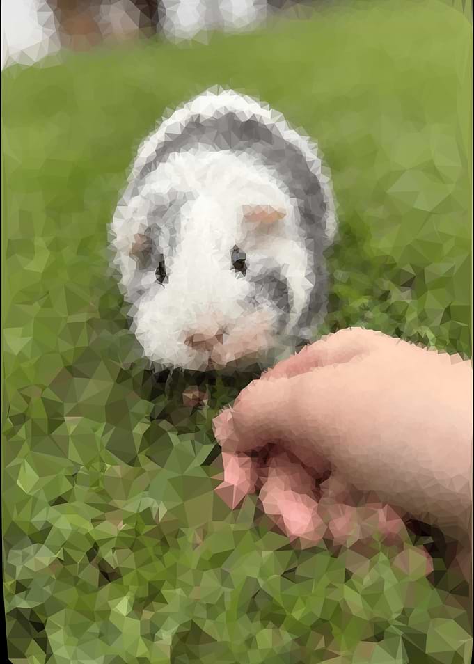 Guinea Pig with Hand on Grass