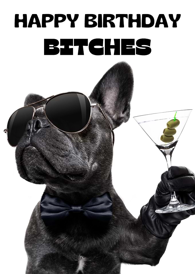 Happy Birthday Bitches Dog Martini