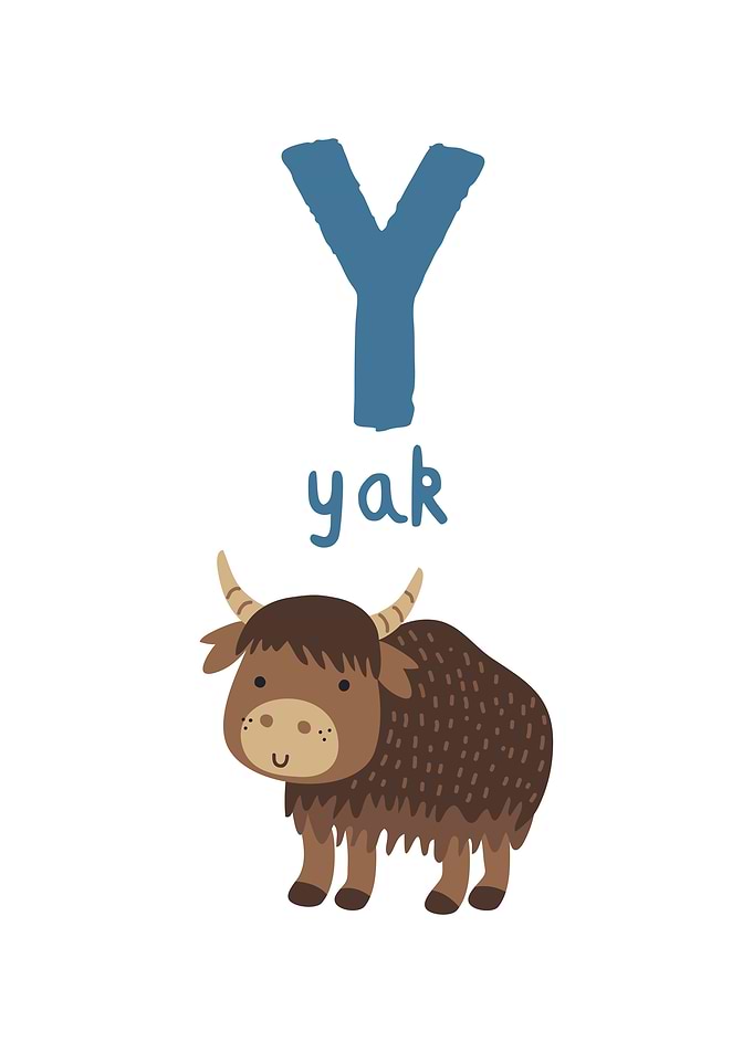 Yak Alphabet Illustration