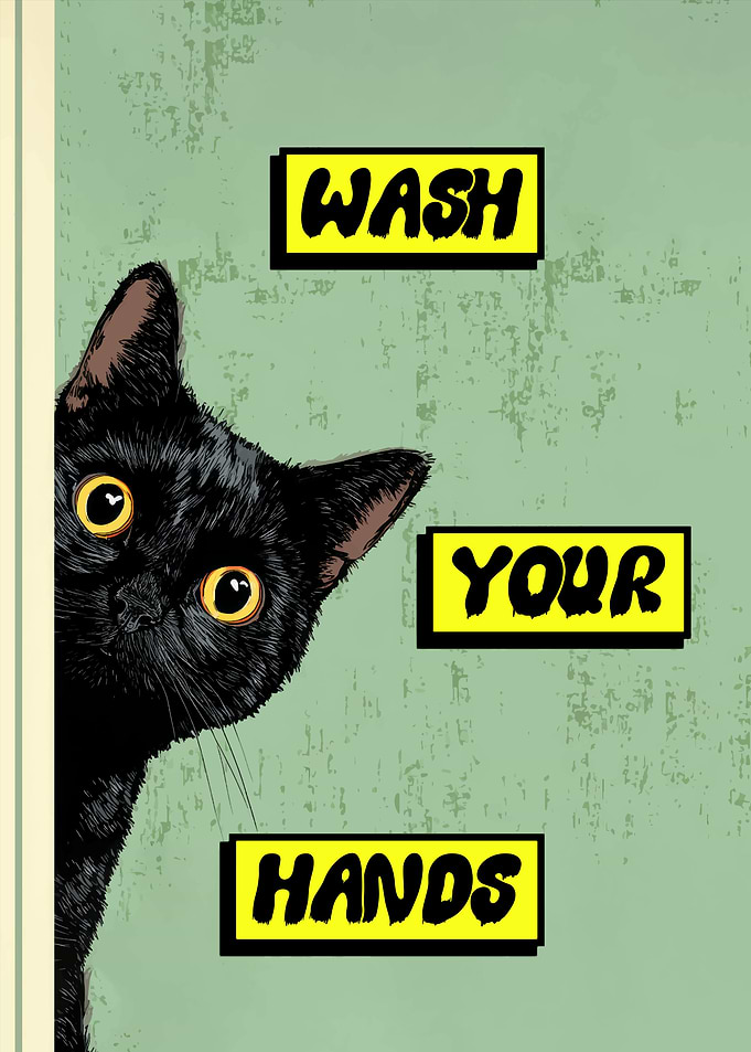Wash Your Hands Cat Poster