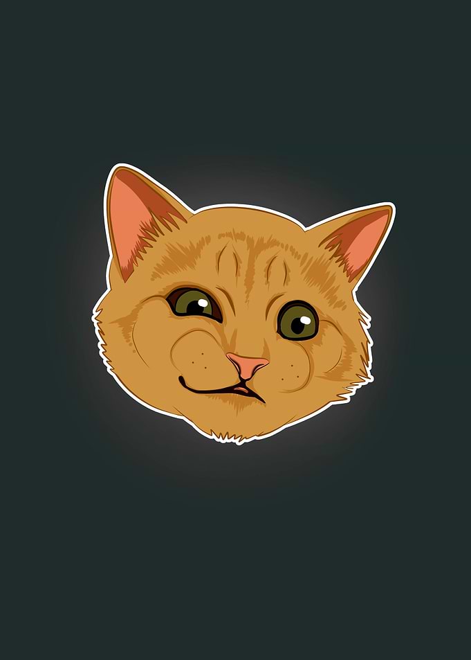 Cartoon Cat with Funny Expression