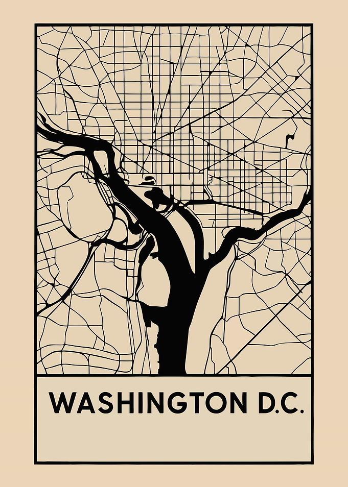 Washington D.C. Map Art
