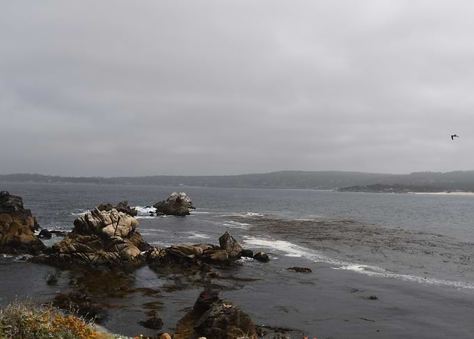 point lobos