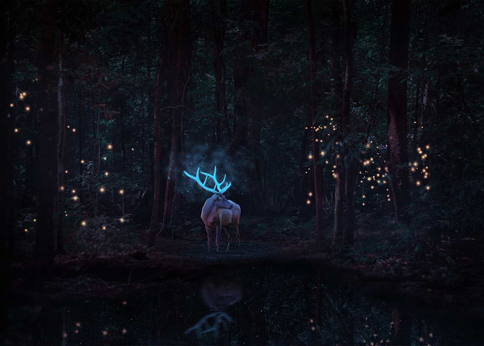 Glowing Deer in Dark Forest