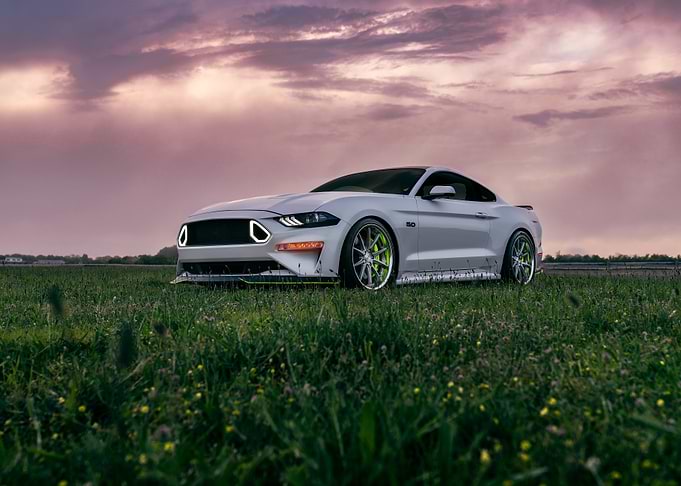 White Ford Mustang in a field
