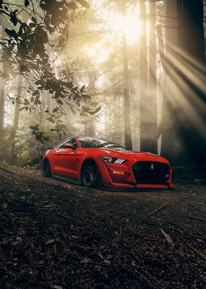 Red Mustang in Forest Sunlight