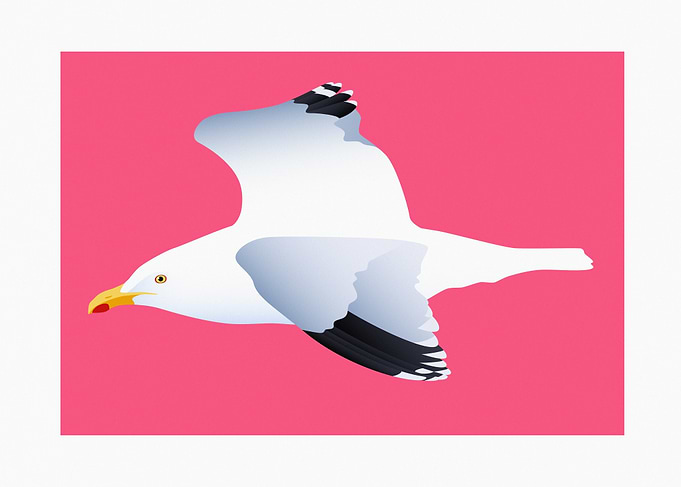 Flying Herring Gull