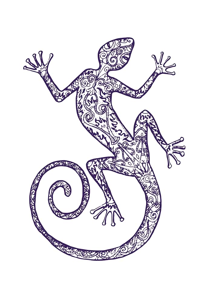 Ornate Lizard Illustration