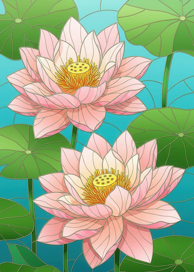 Pink Lotus Flowers