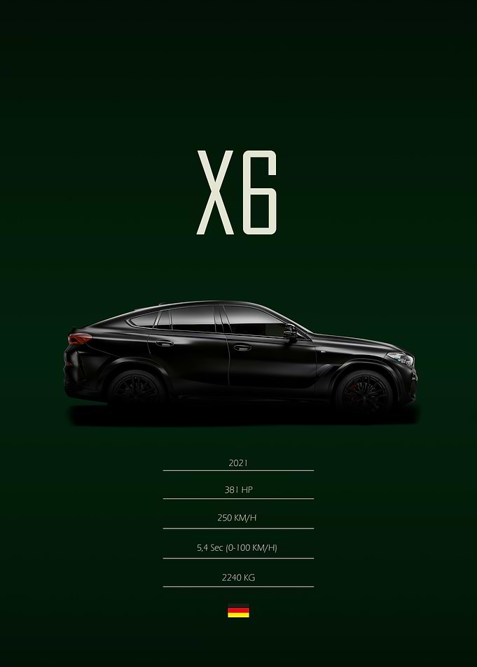 2021 BMW X6