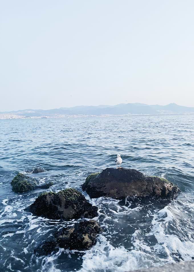 Stillness by the Sea